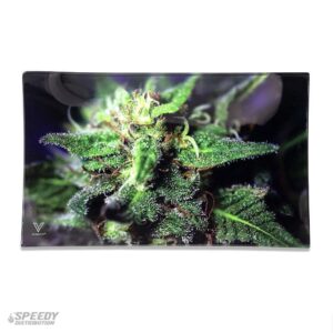 V SYNDICATE BLUE DREAM - GLASS ROLLING TRAY